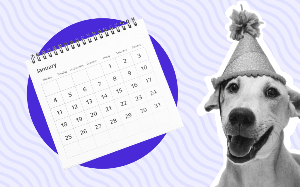 dog wearing a hat next to a calendar